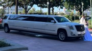 AFG Luxor Limousine